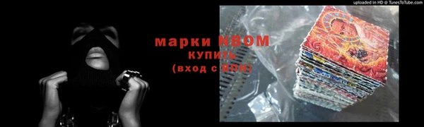 хмурый Покачи