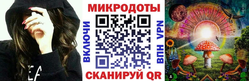 Псилоцибиновые грибы Psilocybe Нерчинск