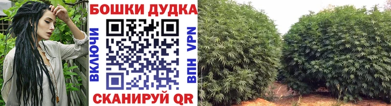 Бошки Шишки White Widow  мега как зайти  Нерчинск 